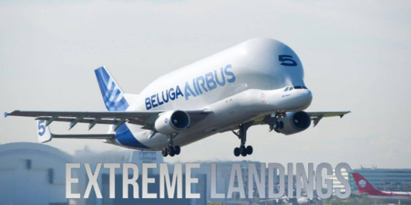 Extreme Landings Pro屏幕截圖0