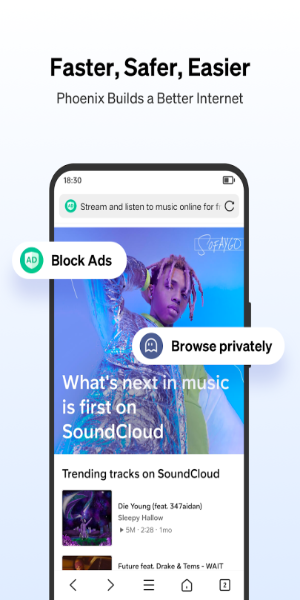 Phoenix - Fast & Safe应用截图第0张