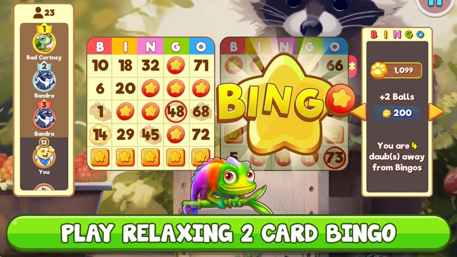 Bingo:  Free the Pets ကိုဖန်သားပြင်1