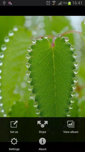Photo Saver for Facebook স্ক্রিনশট 0