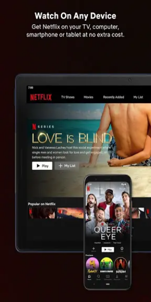 Screenshot Netflix Premium Unlocked 1