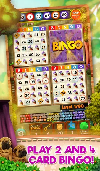 Bingo Pets Party: Dog Days屏幕截圖0