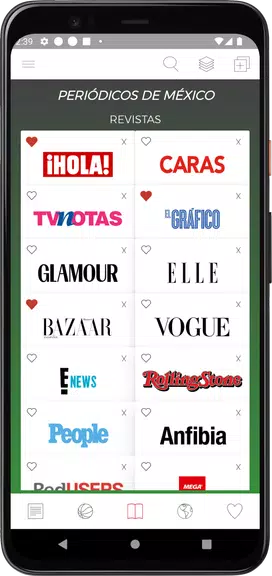 Screenshot Mexican Newspapers 2