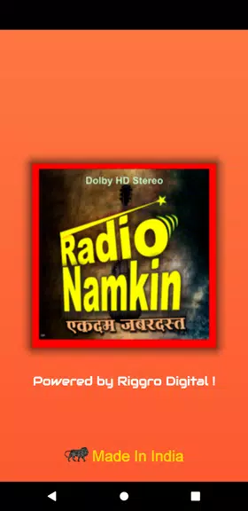 Radio Namkeen- FM Radio Online屏幕截圖0