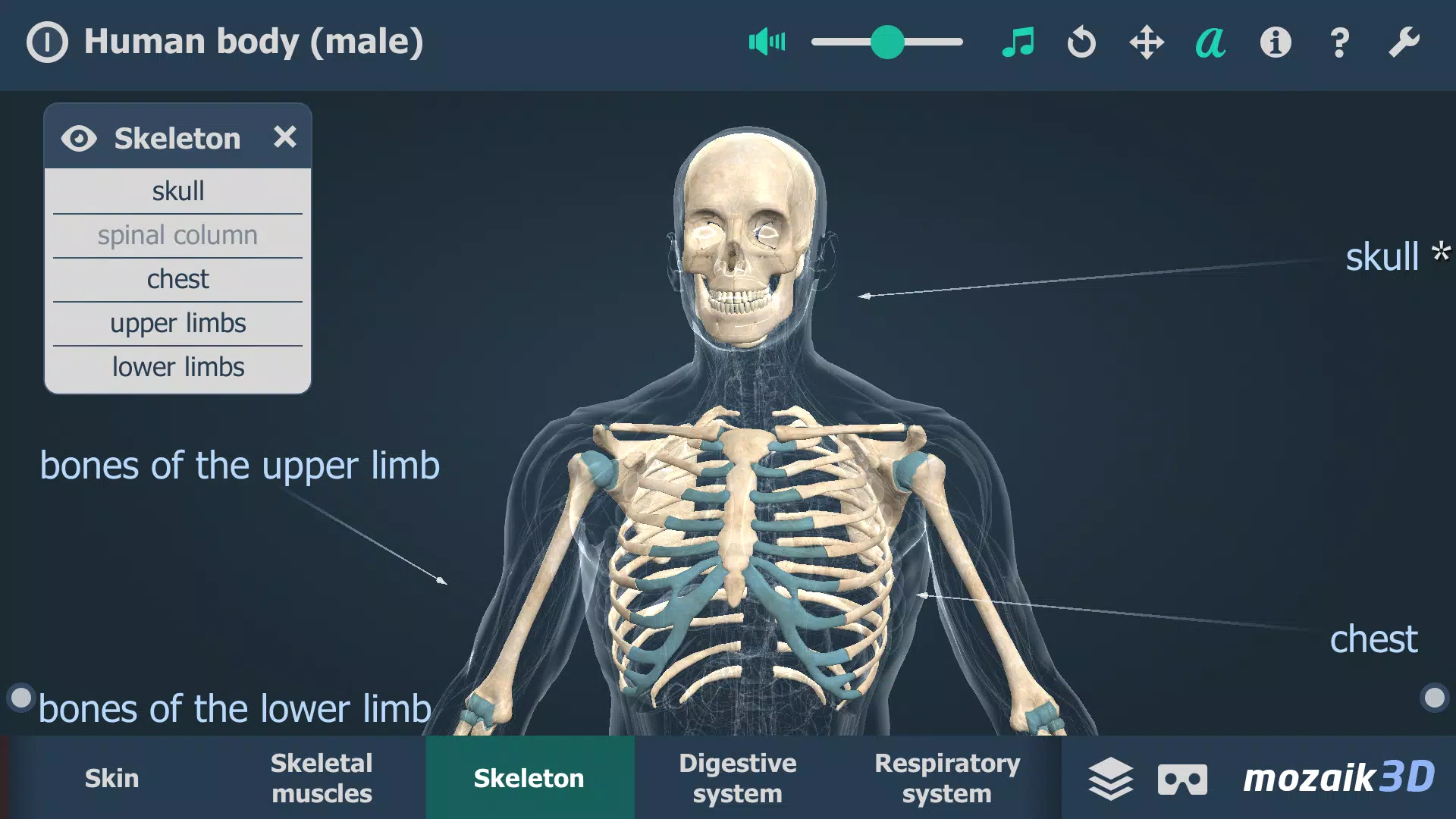 Human body (male) 3D scene屏幕截圖2