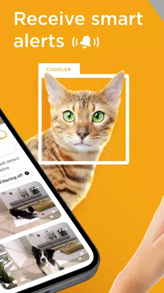 Petcube应用截图第1张
