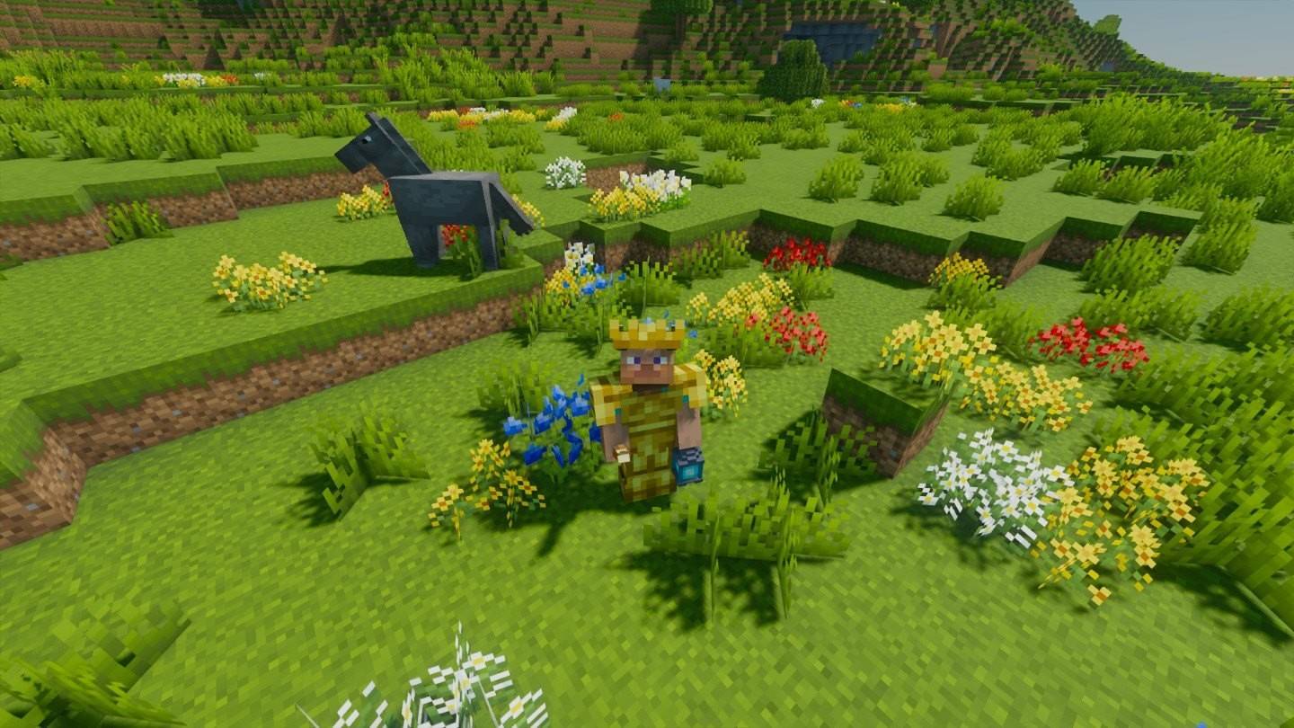 Quel genre de fleurs y a-t-il à minecraft