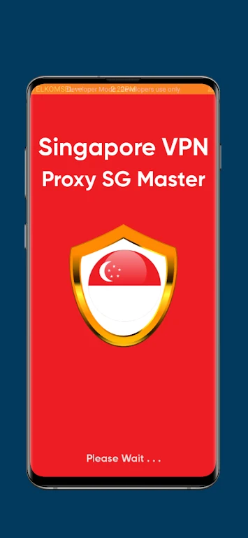Singapore VPN: Proxy SG Master captura de pantalla 0