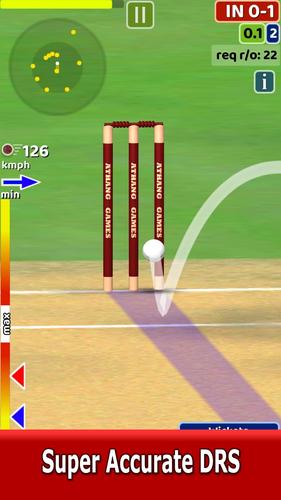 Cricket World Domination экрана 1