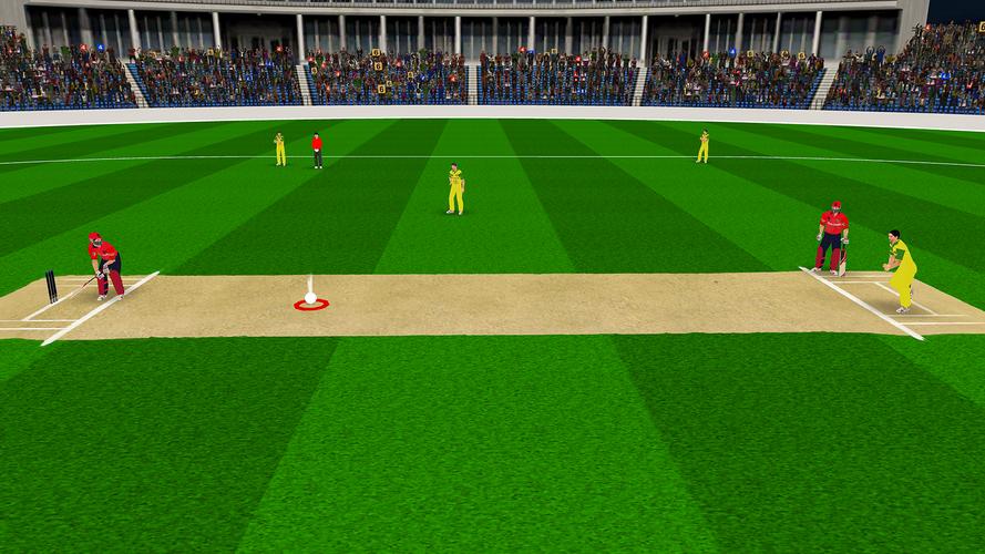 Real World Cricket T10 Games屏幕截圖2