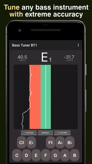 Bass Tuner BT1屏幕截圖0