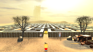 3D Maze 2 Screenshot 2