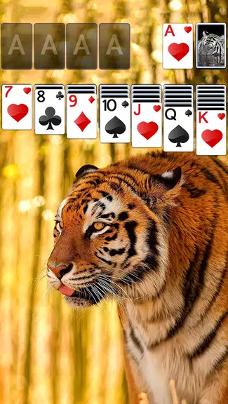 Solitaire Tiger Theme ဖန်သားပြင်ဓာတ်ပုံ 0