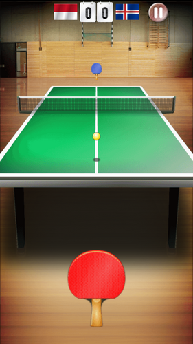 Table Tennis World Tour Screenshot 3