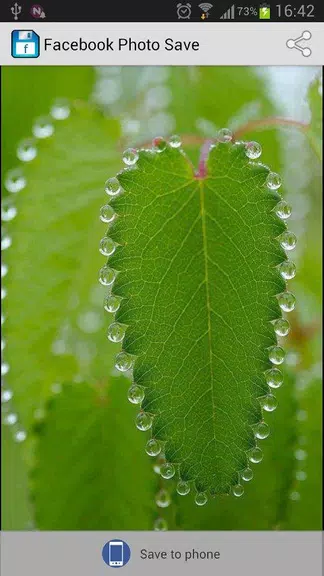 Photo Saver for Facebook স্ক্রিনশট 2