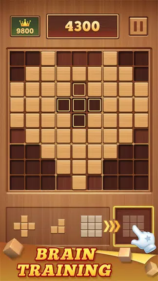 ภาพหน้าจอ Wood Block 99 - Sudoku Puzzle 1