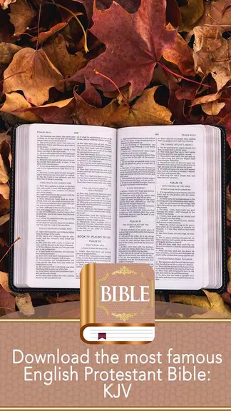 KJV Bible captura de pantalla 2