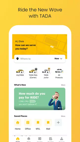 TADA - Taxi, Cab, Ride Hailing ảnh chụp màn hình 0