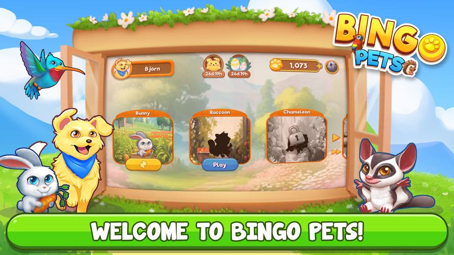 Bingo:  Free the Pets ကိုဖန်သားပြင်0