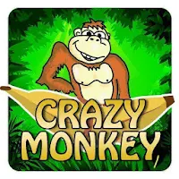 Crazy Monkey World