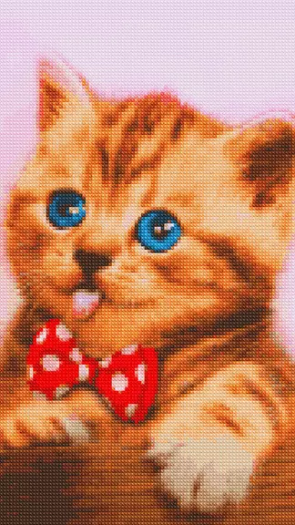 Cross stitch pixel art game屏幕截圖0