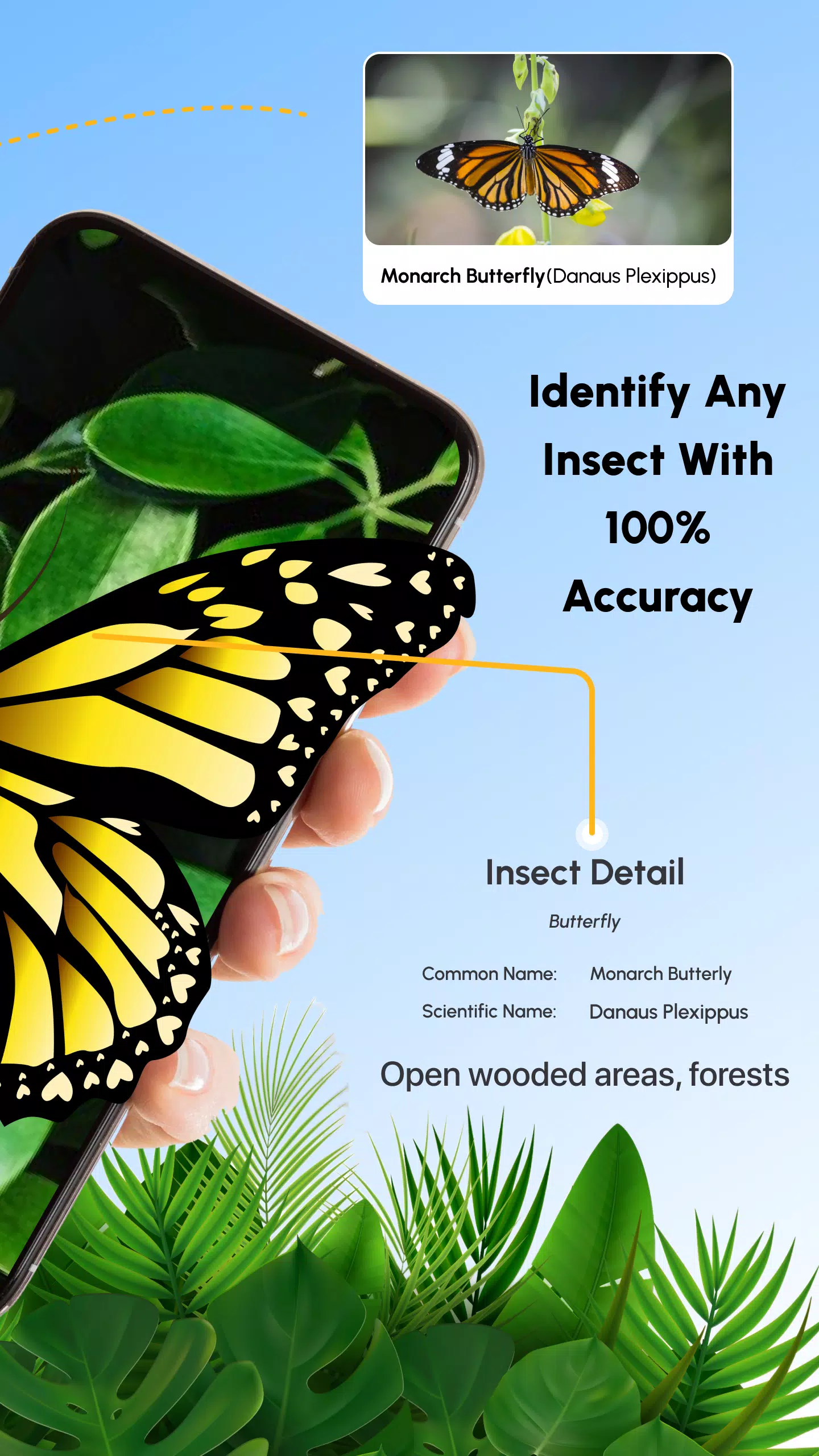 Screenshot Insect Identifier Bug Identify 1