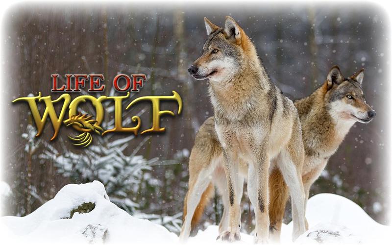 Wolf Life Simulator capture d’écran 0