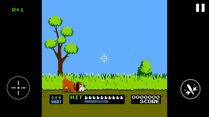 Duck Hunt स्क्रीनशॉट 3