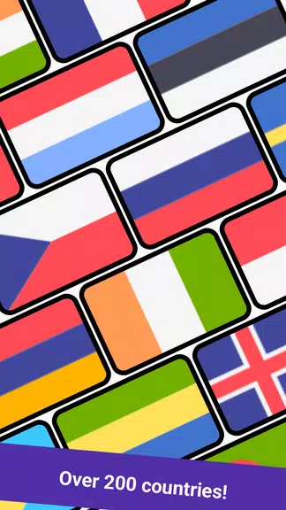 Geomi — Flags & Countries应用截图第1张