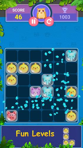 Block Game Puzzle of Pet World屏幕截圖1