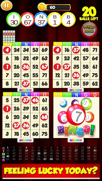 New Bingo Cards Game Free屏幕截圖0