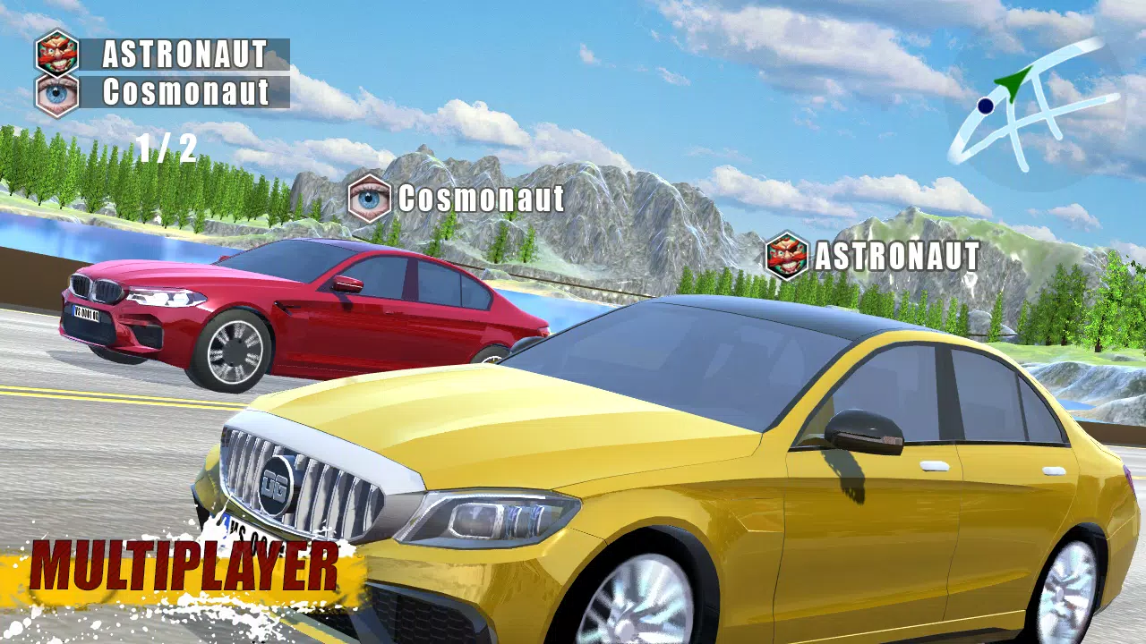 CarSim M5&C63 screenshot 1