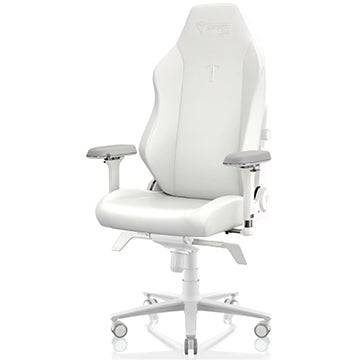 Secretlab Chairs & Desks