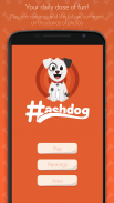 Hashdog - Dog’s social network应用截图第0张