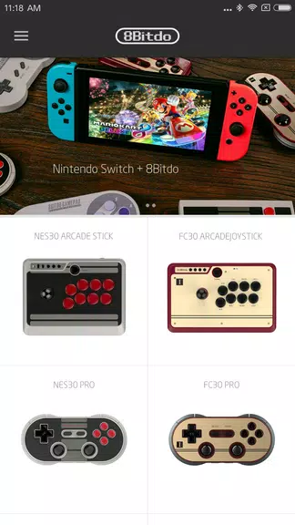 8BitDo ekran görüntüsü 0