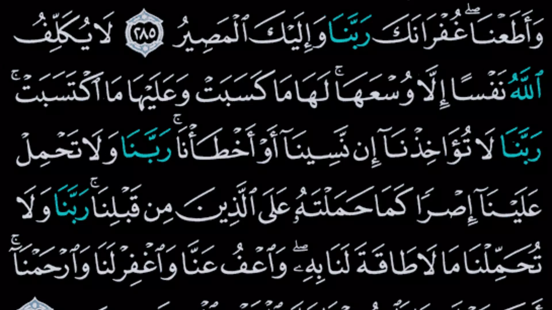القرآن الكريم ảnh chụp màn hình 3