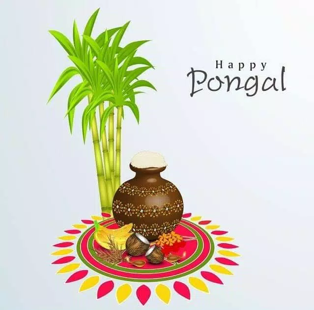 ภาพหน้าจอ Happy Pongal Wishes 1