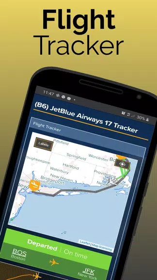 Paris Orly Airport Flight Info ekran görüntüsü 1