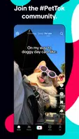 TikTok: Videos, Lives & Musik屏幕截圖3