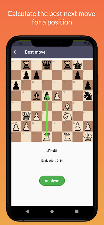 ChessEye: chessboard scanner screenshot 2