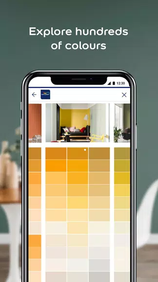 Dulux Visualizer PK 스크린샷 1