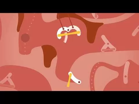 yt