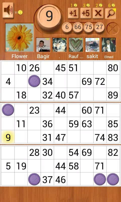 Loto Online屏幕截圖0