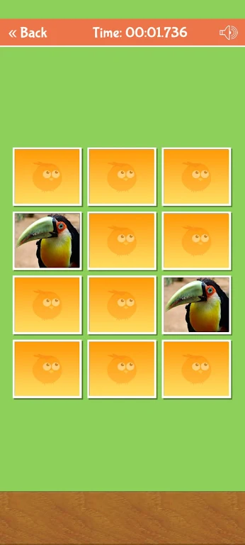 Birds Memory Match Game Screenshot 0