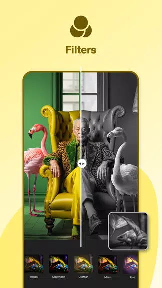 Gallery: Photo Editor, Collage экрана 1