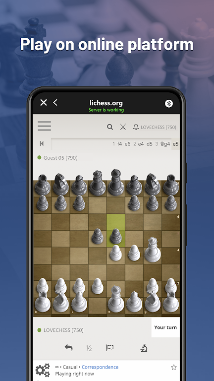 Chessnut screenshot 1