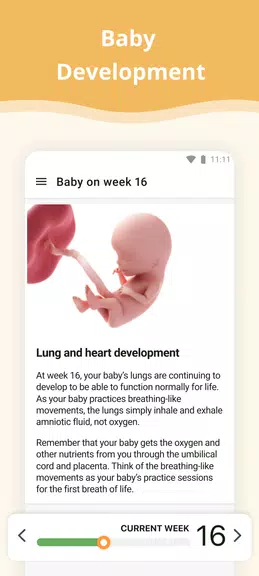 Pregnancy App screenshot 1