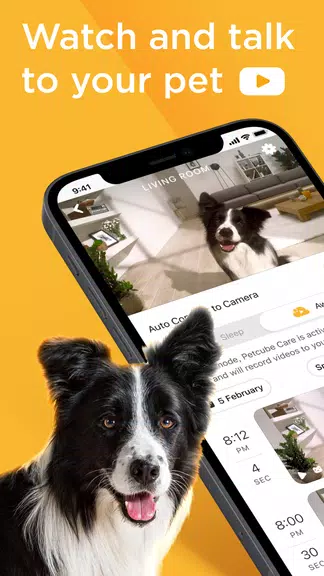 Petcube应用截图第0张