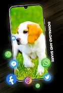 Puppies Wallpapers in 4K ကိုဖန်သားပြင်2