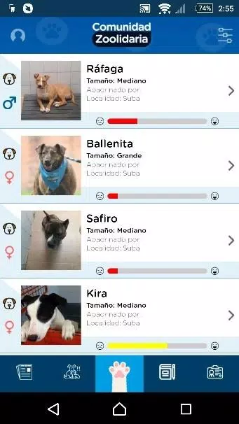 Distrito Appnimal screenshot 0